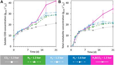 A specific H2/CO2 consumption molar ratio of 3 as a signature for the chain elongation of carboxylates from brewer’s spent grain acidogenesis